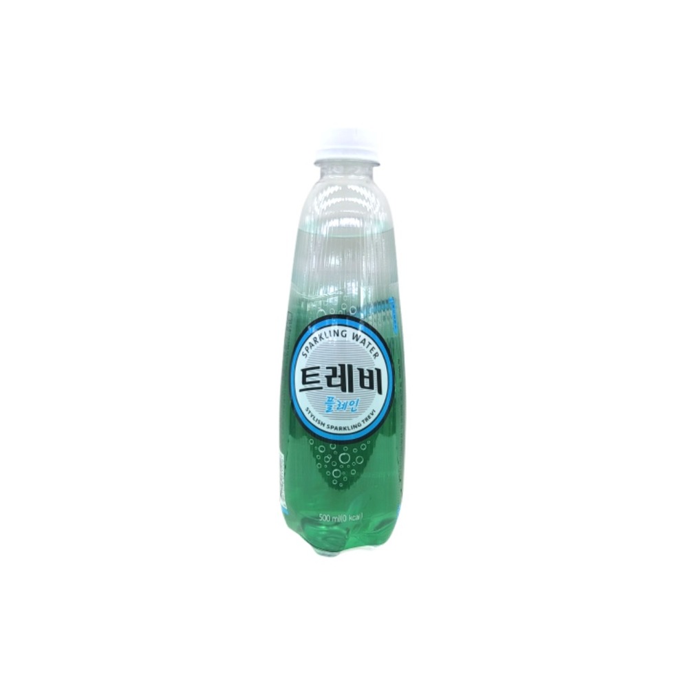 트레비 플레인